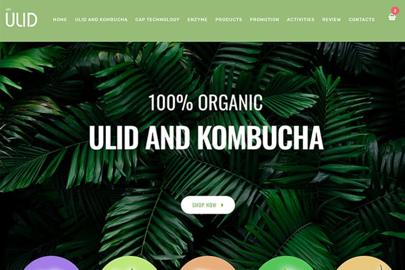 Portfolio 8