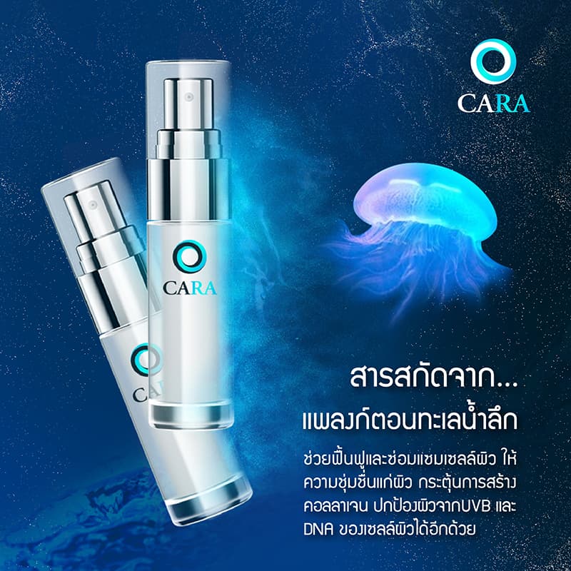 ออกแบบทุกชนิด