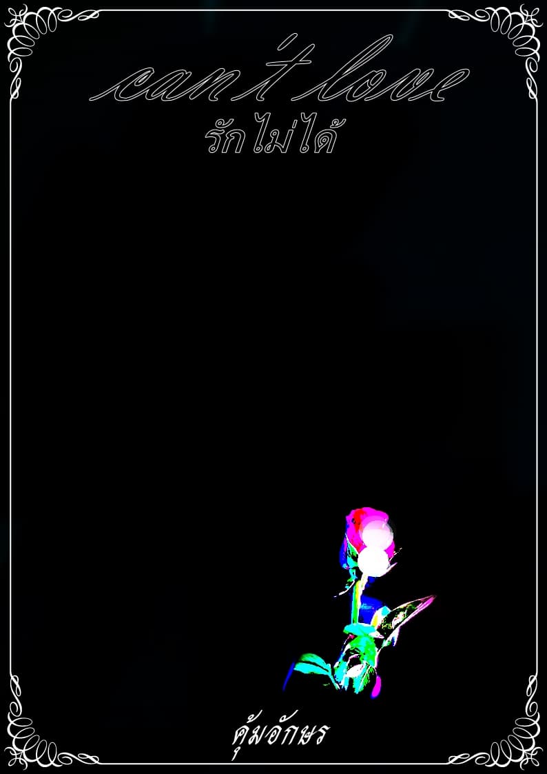 Portfolio 7