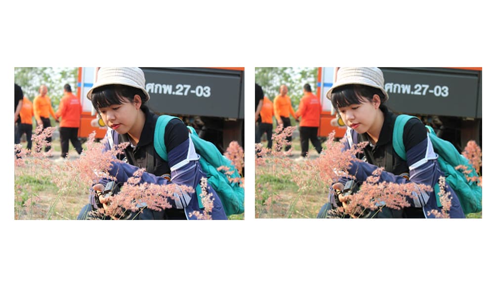 งานตัดภาพพื้นหลัง