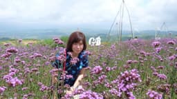 Sansanee Saengchannukul