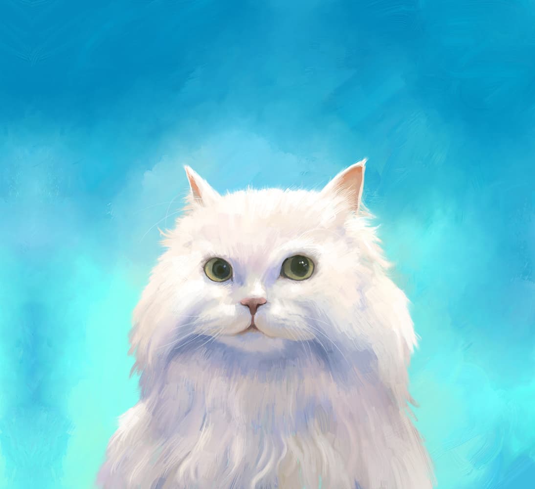 Portfolio 5