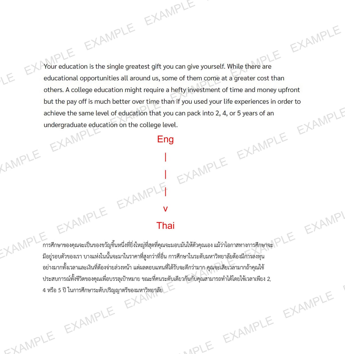 Portfolio 3