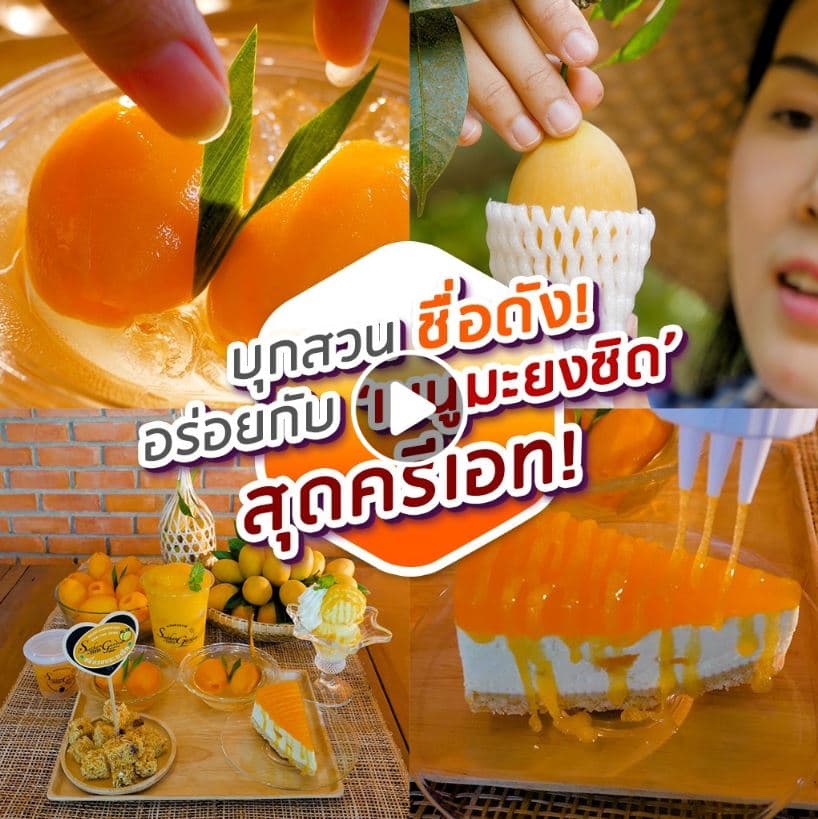 ถ่ายทำนอกสถานที่ / ตัดต่อ (สำหรับออนไลน์)