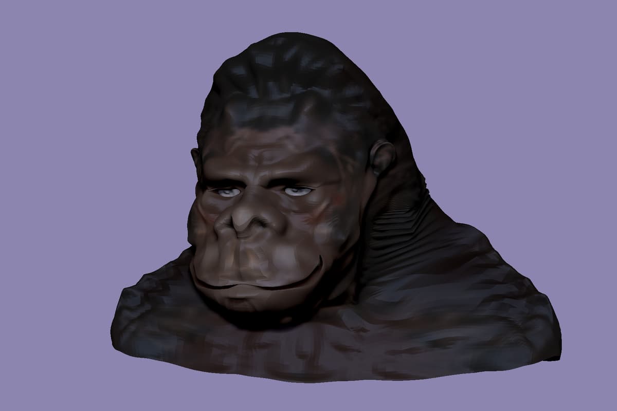 Portfolio 4