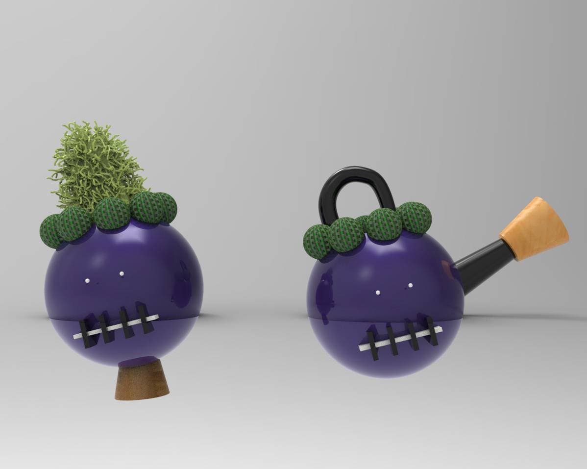 Portfolio 5
