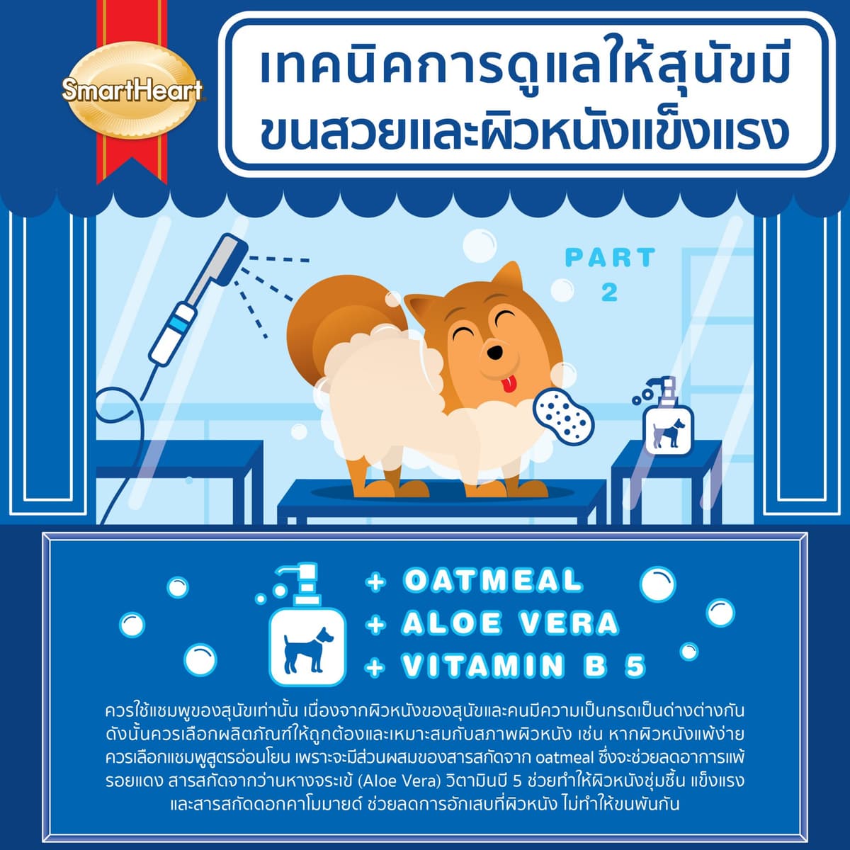 รับออกแบบ infographic