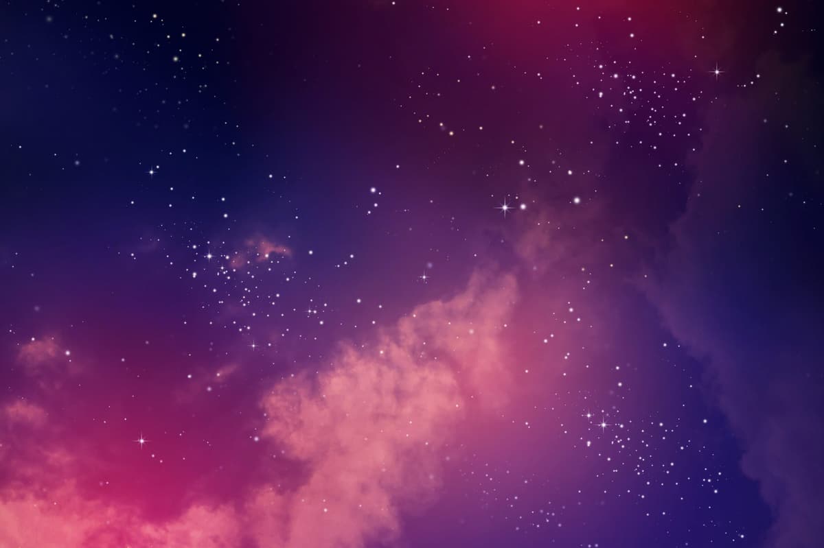 Portfolio 8