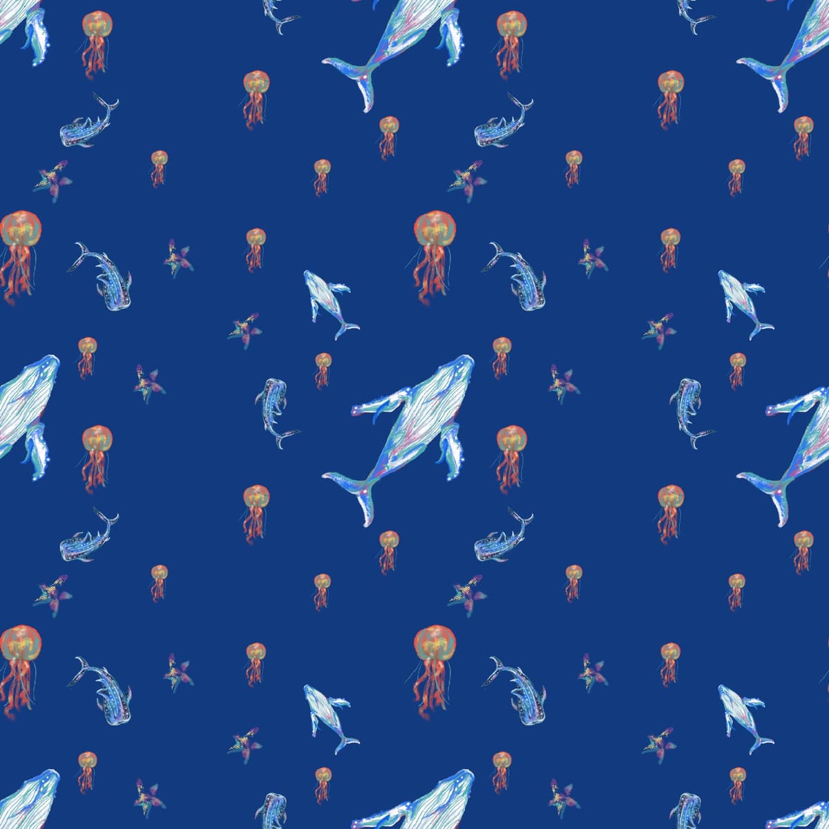 Portfolio 5