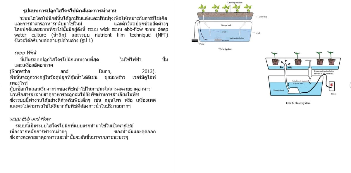Portfolio 6