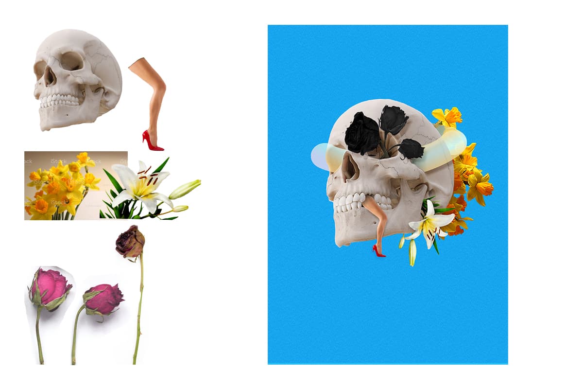 Portfolio 5