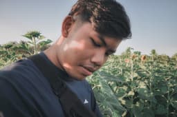 Panachai