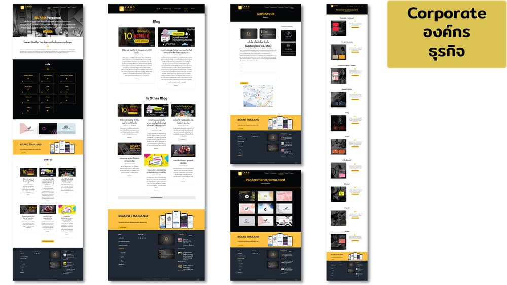 Portfolio 3