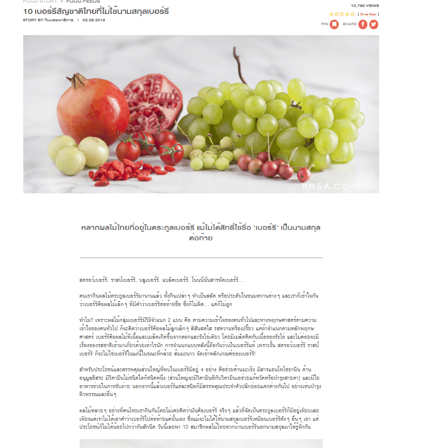 Portfolio 5