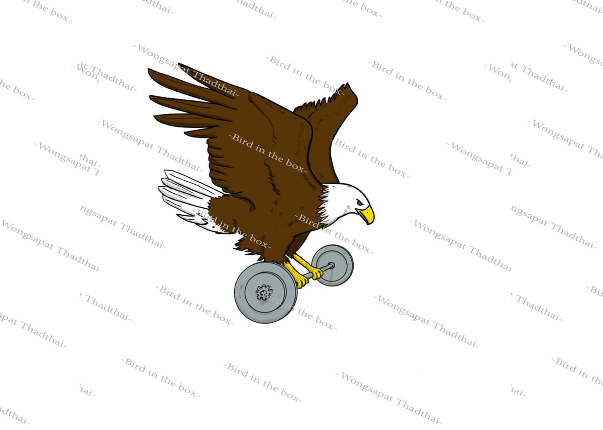 Portfolio 4