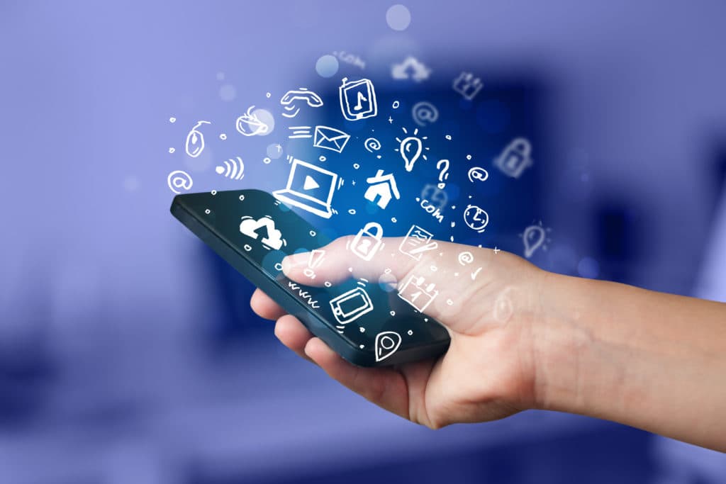 Web or Mobile Application