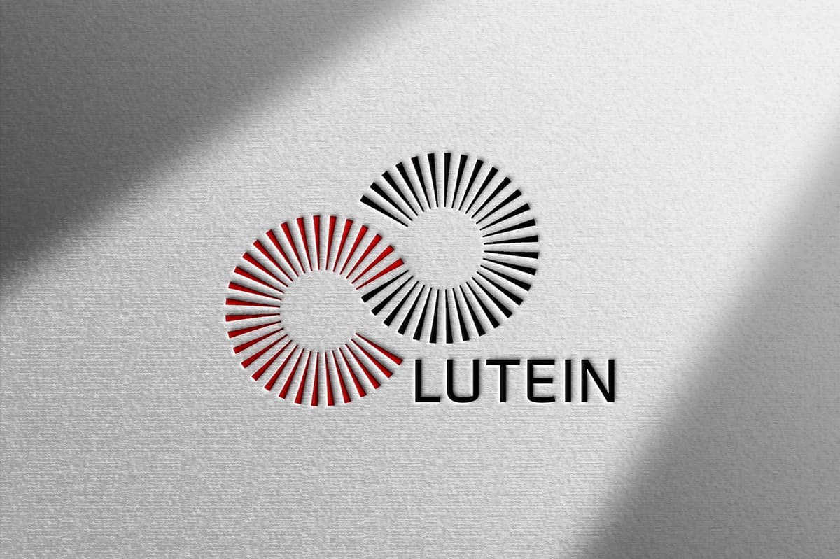 Portfolio 4