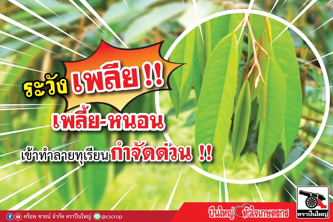 ออกแบบสื่อ