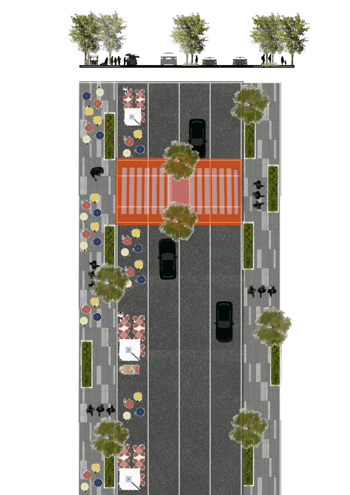 Portfolio 5