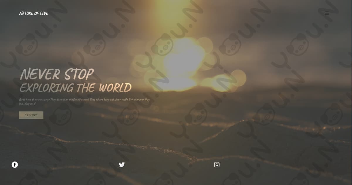 Portfolio 5