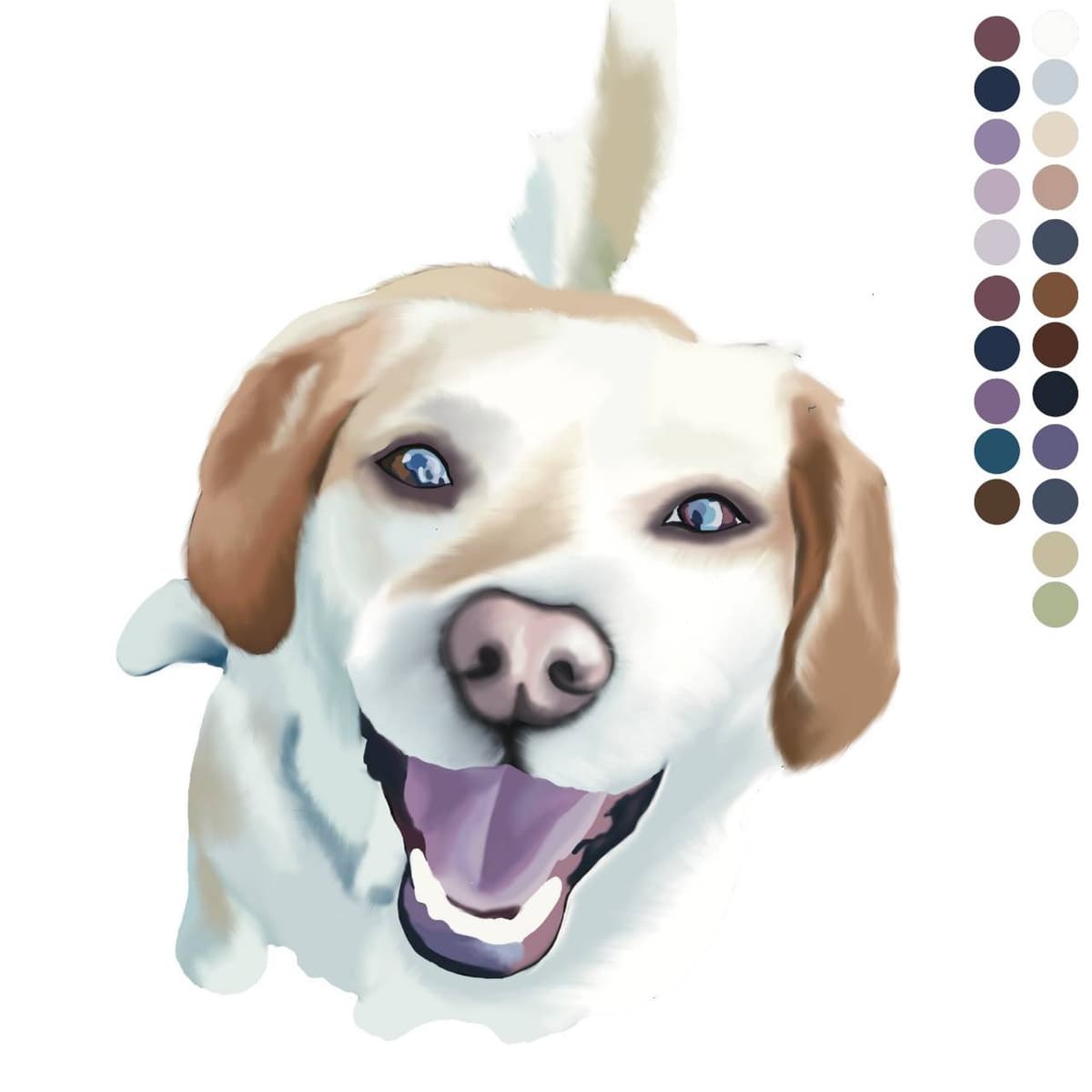 Portfolio 4
