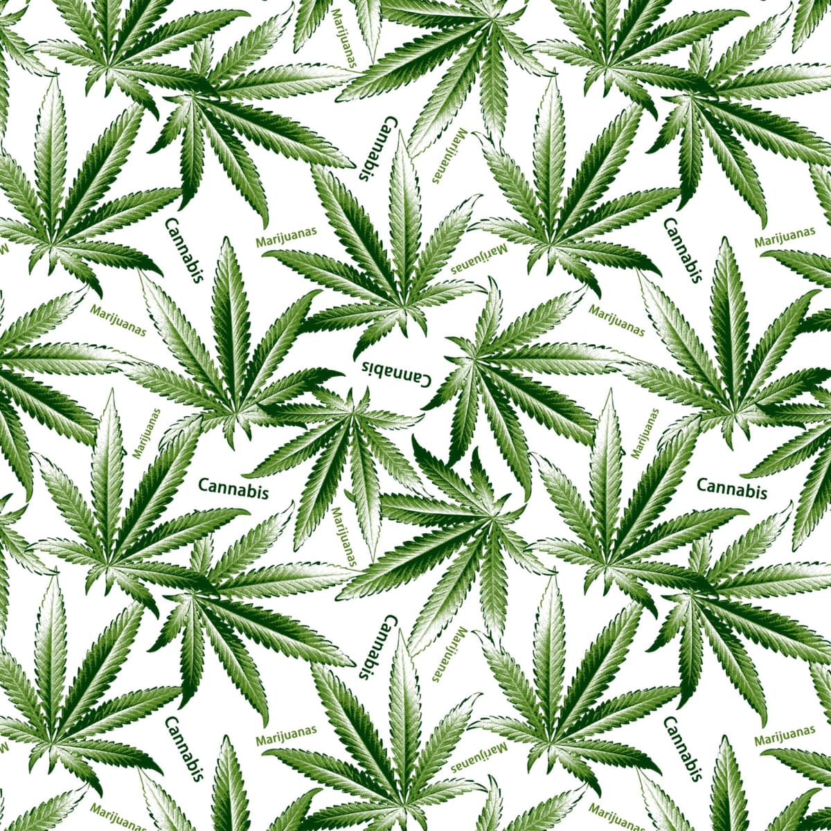 Portfolio 4