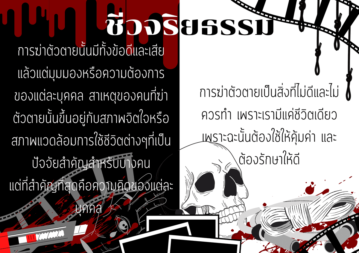Portfolio 5