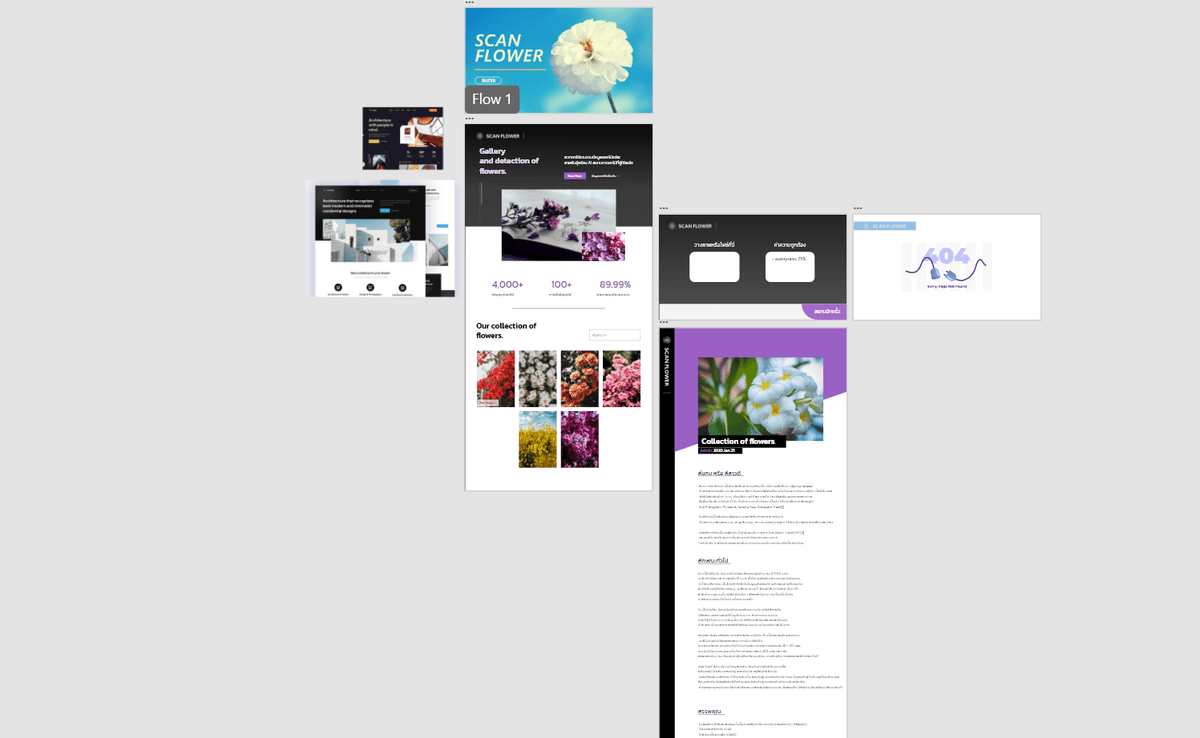 Portfolio 6