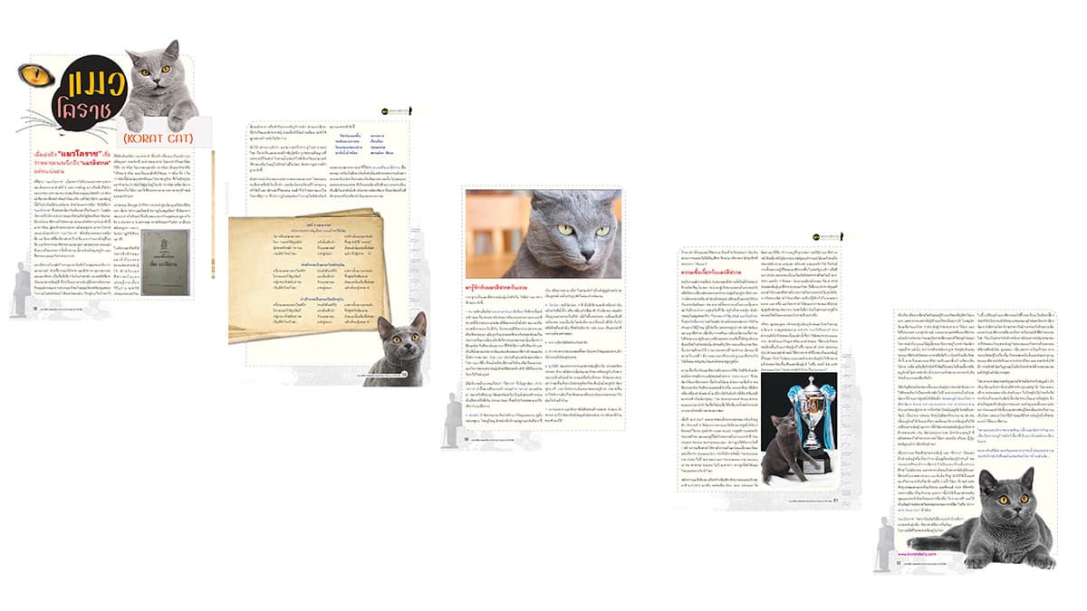 Portfolio 4