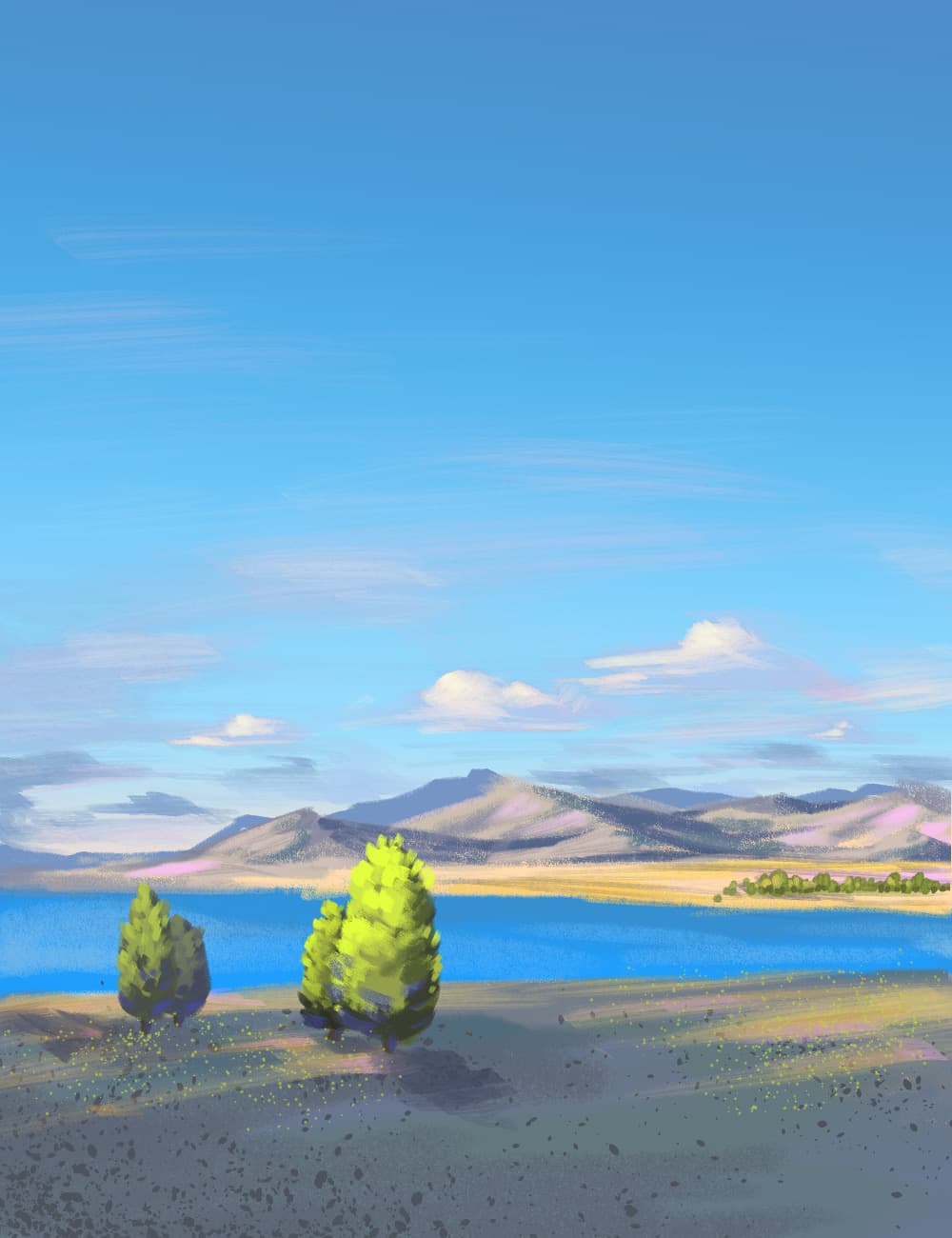 Portfolio 2
