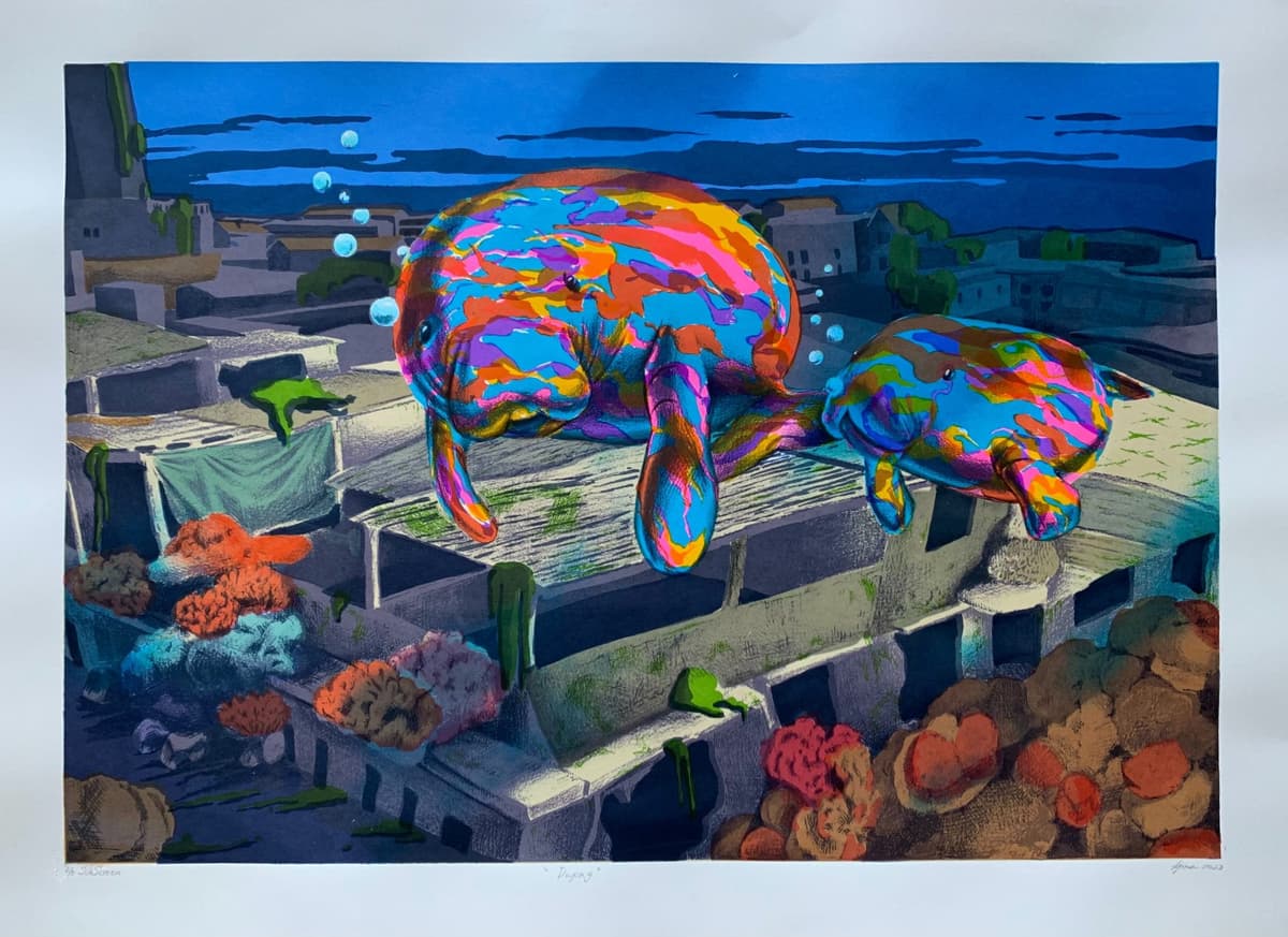Portfolio 5