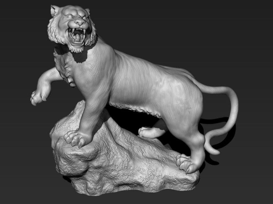 Portfolio 8