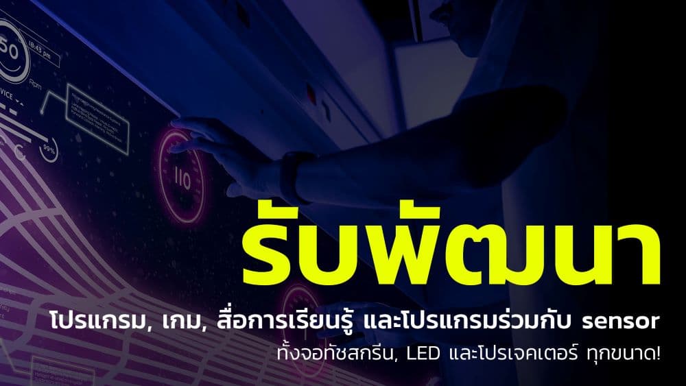 รับทำ Program