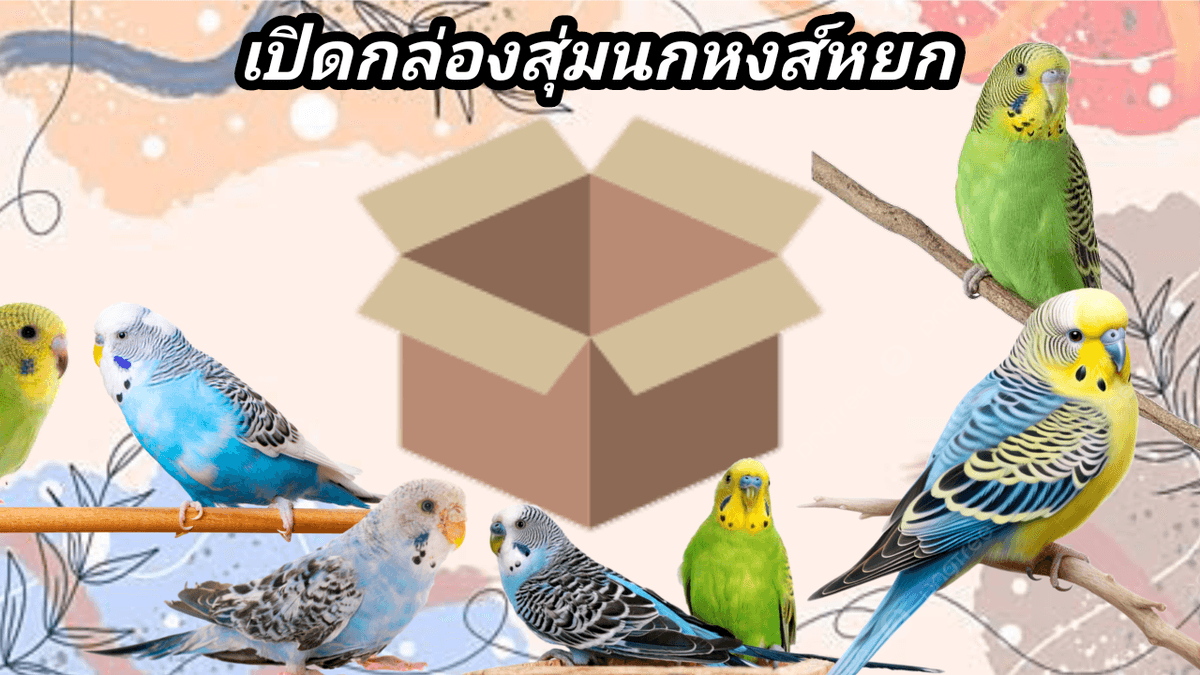 รับออกแบบปกคลิปต่างๆ