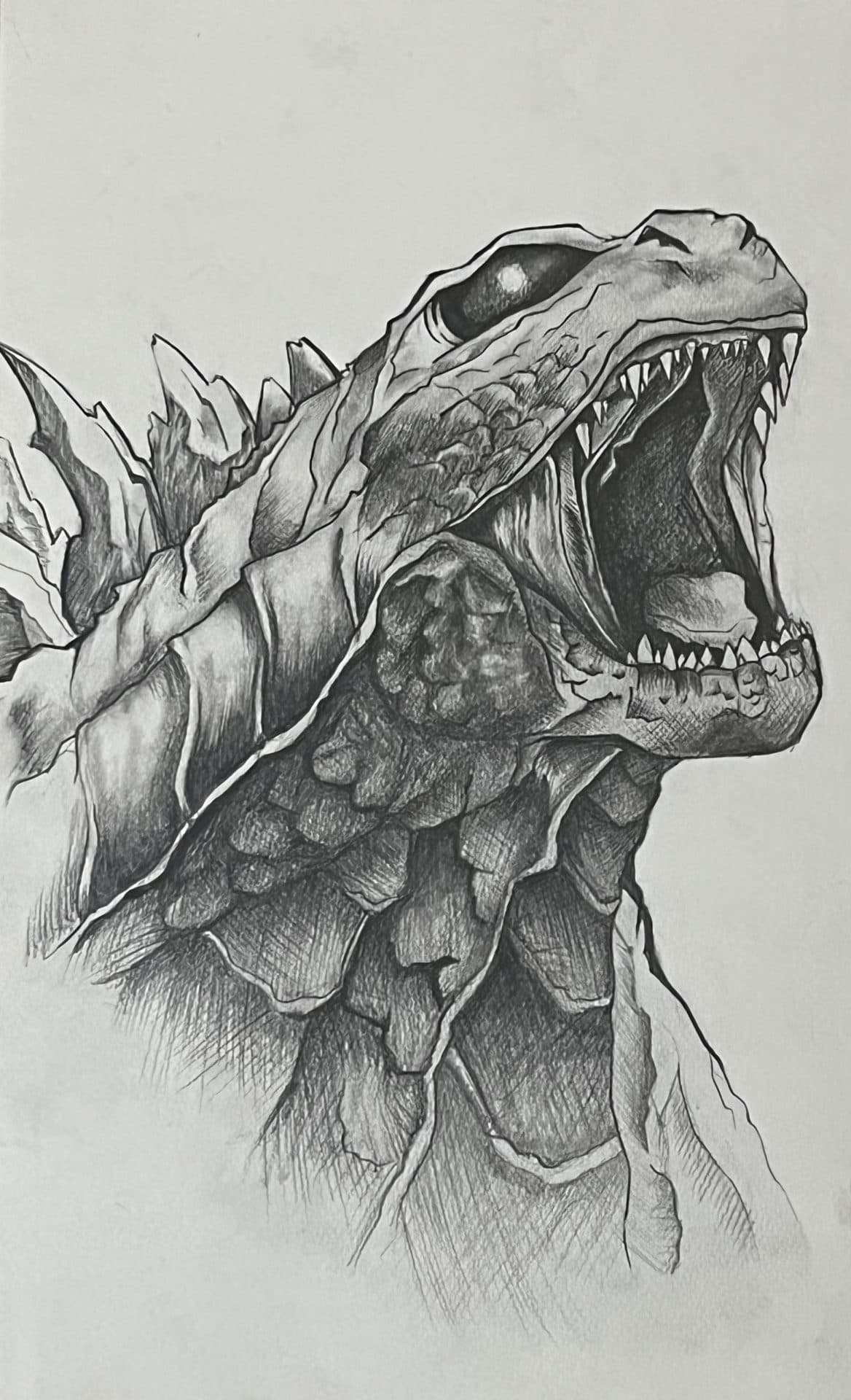Portfolio 7