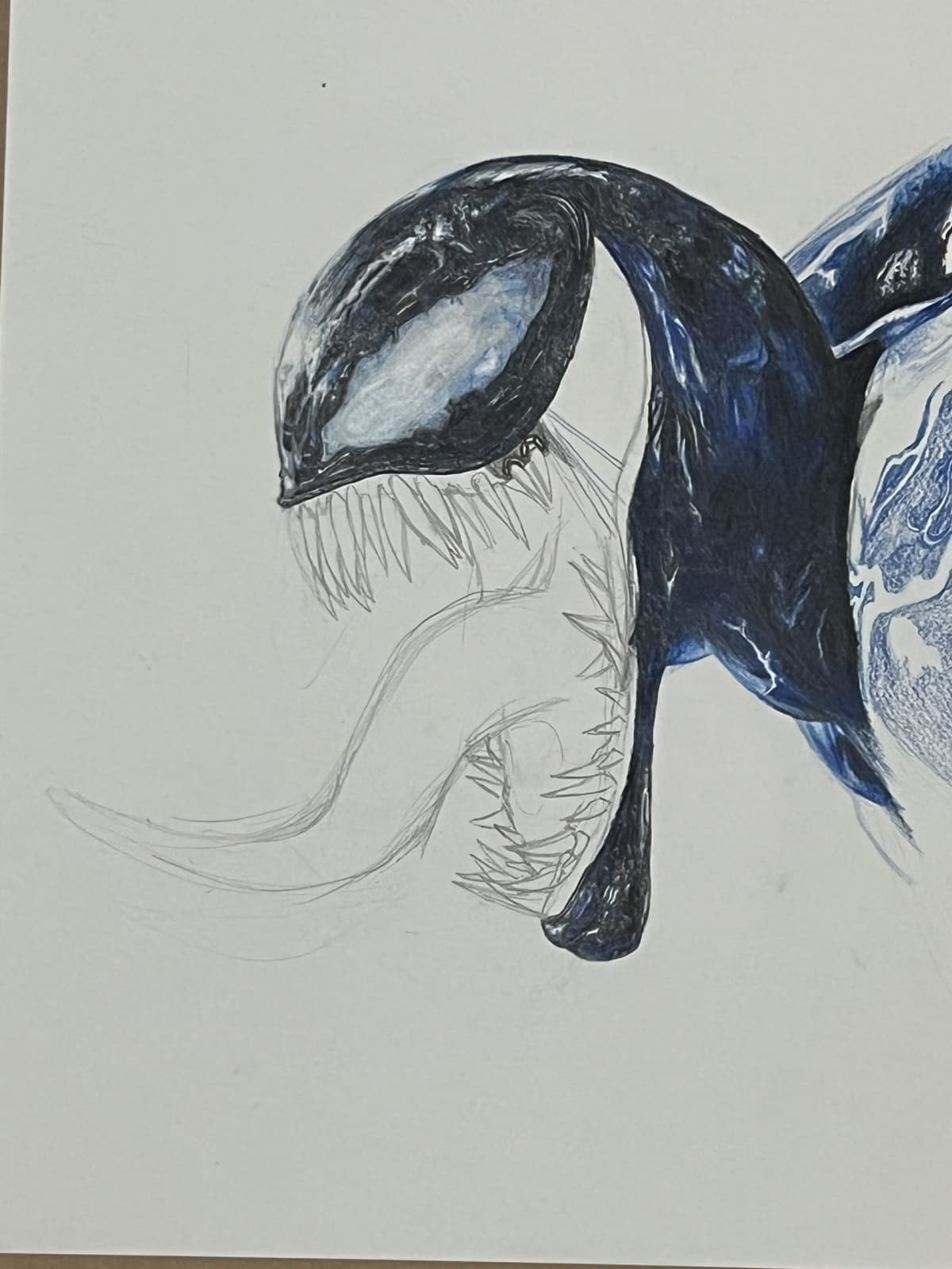 Portfolio 6