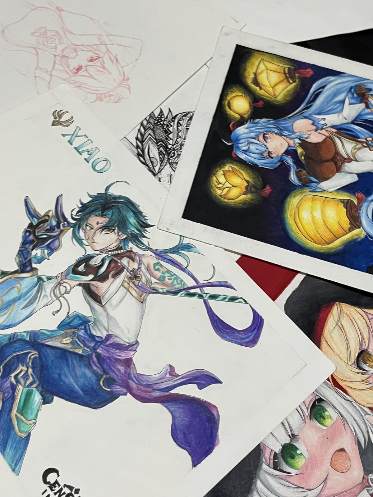 Portfolio 5