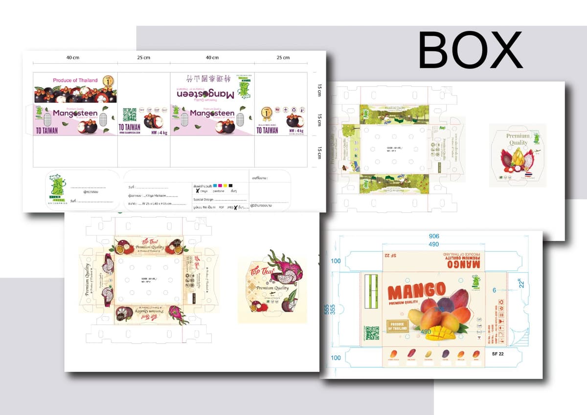 Portfolio 4