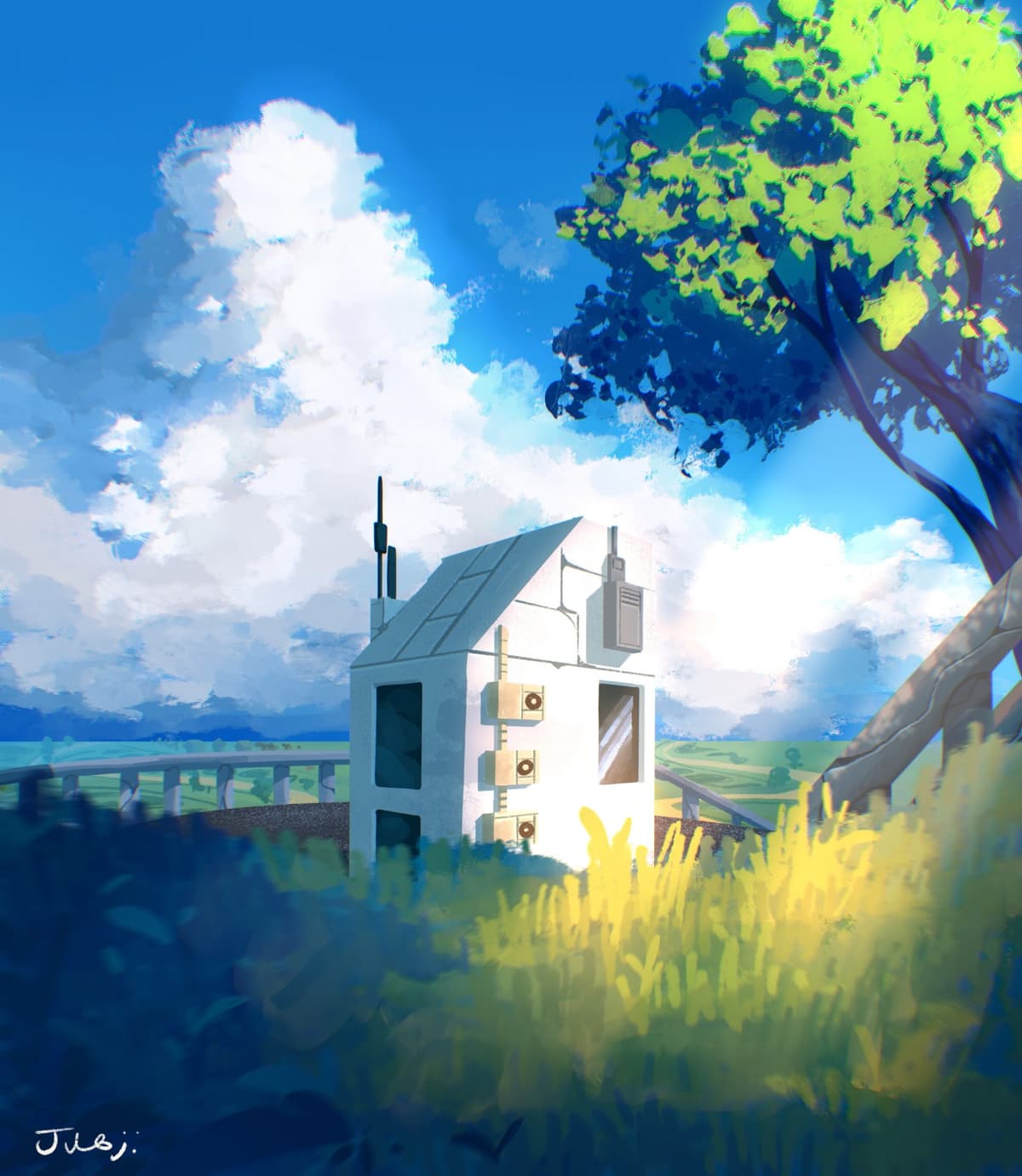 Portfolio 5