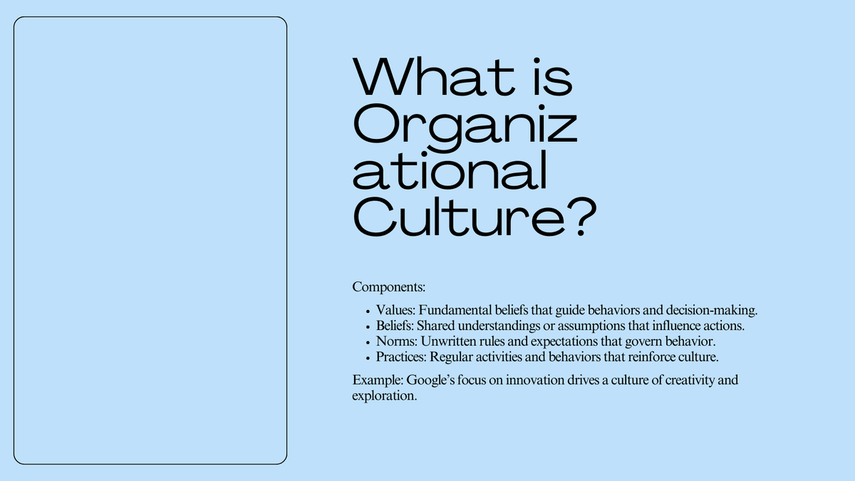 Portfolio 3