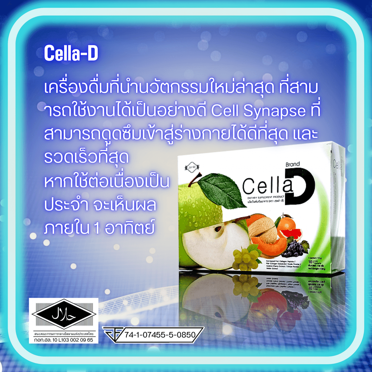 Portfolio 6