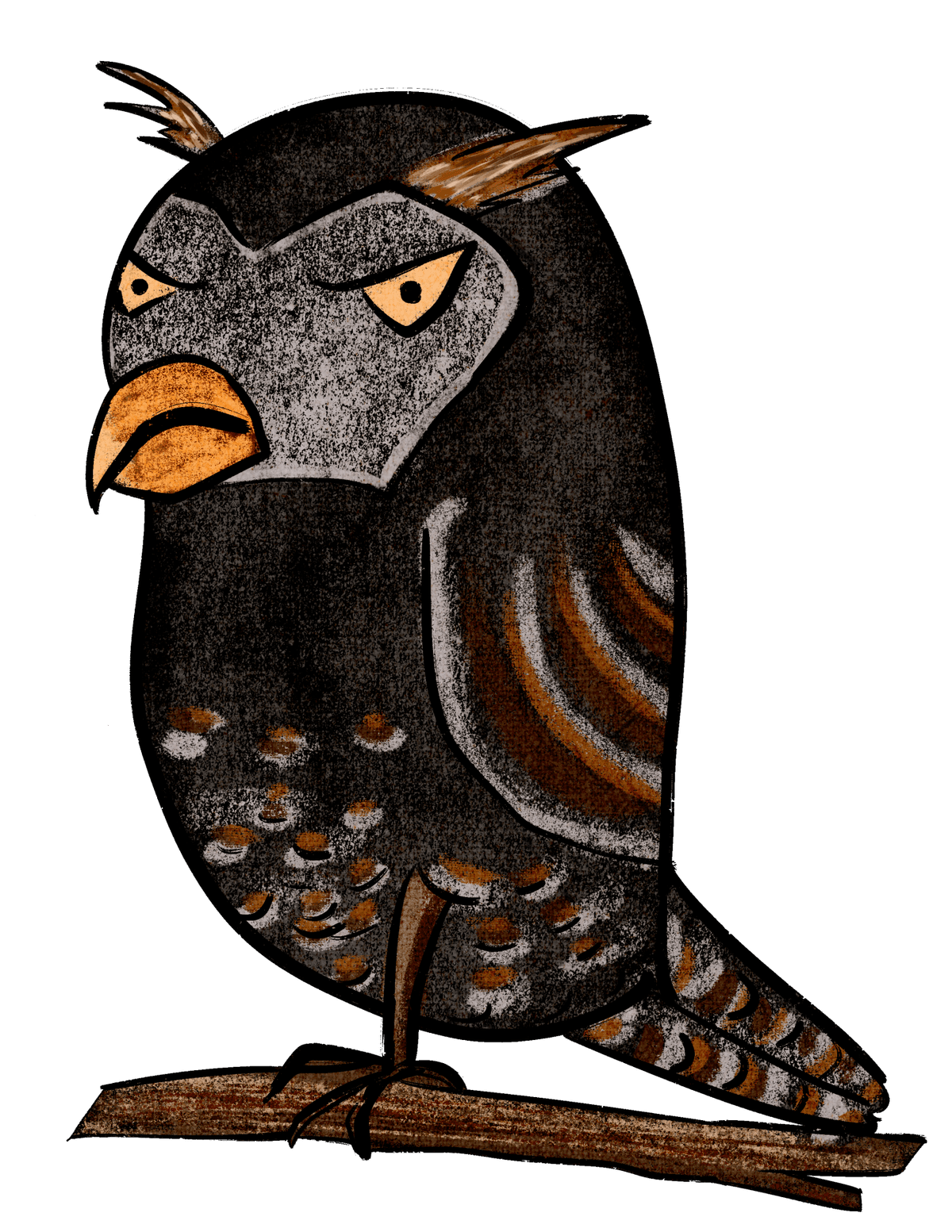 Portfolio 8