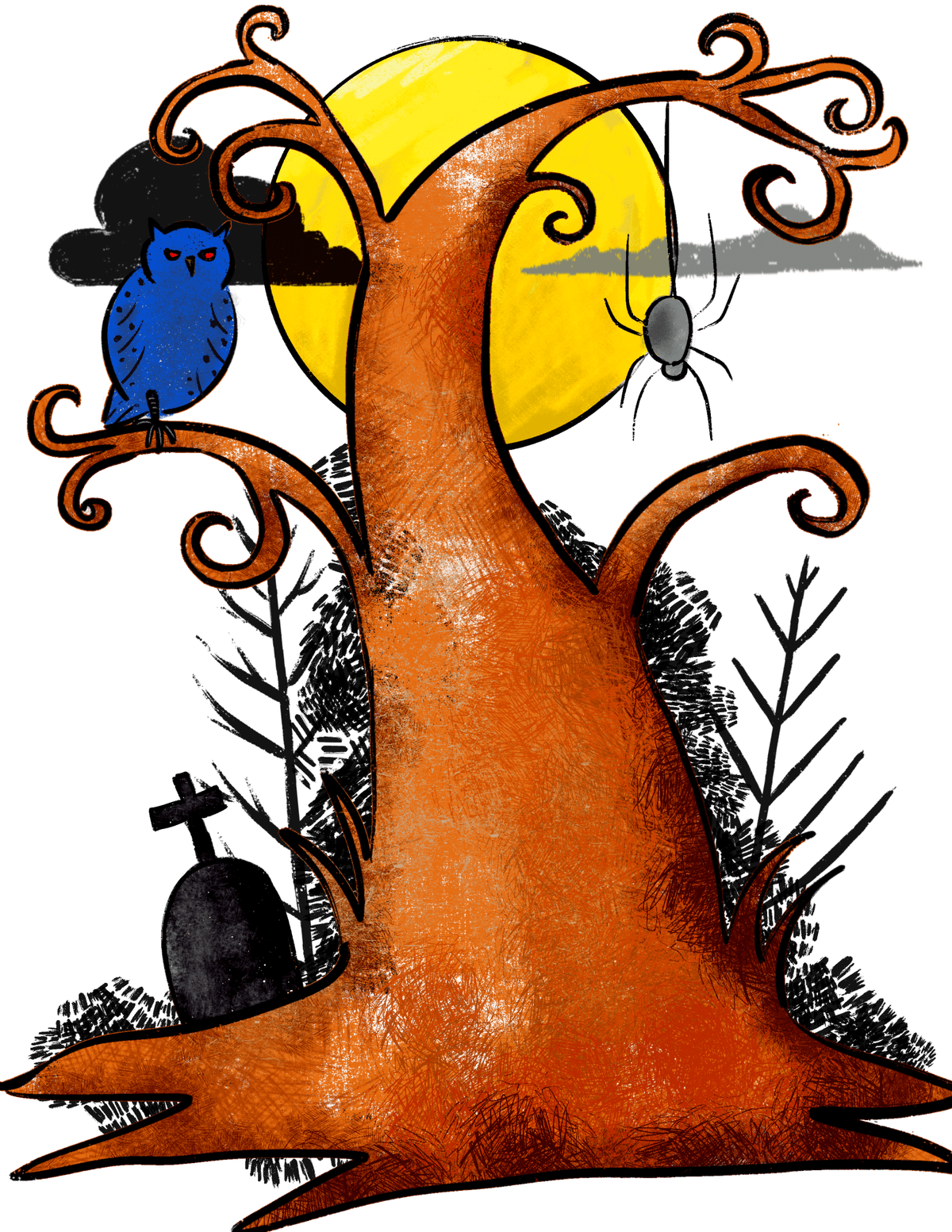 Portfolio 10