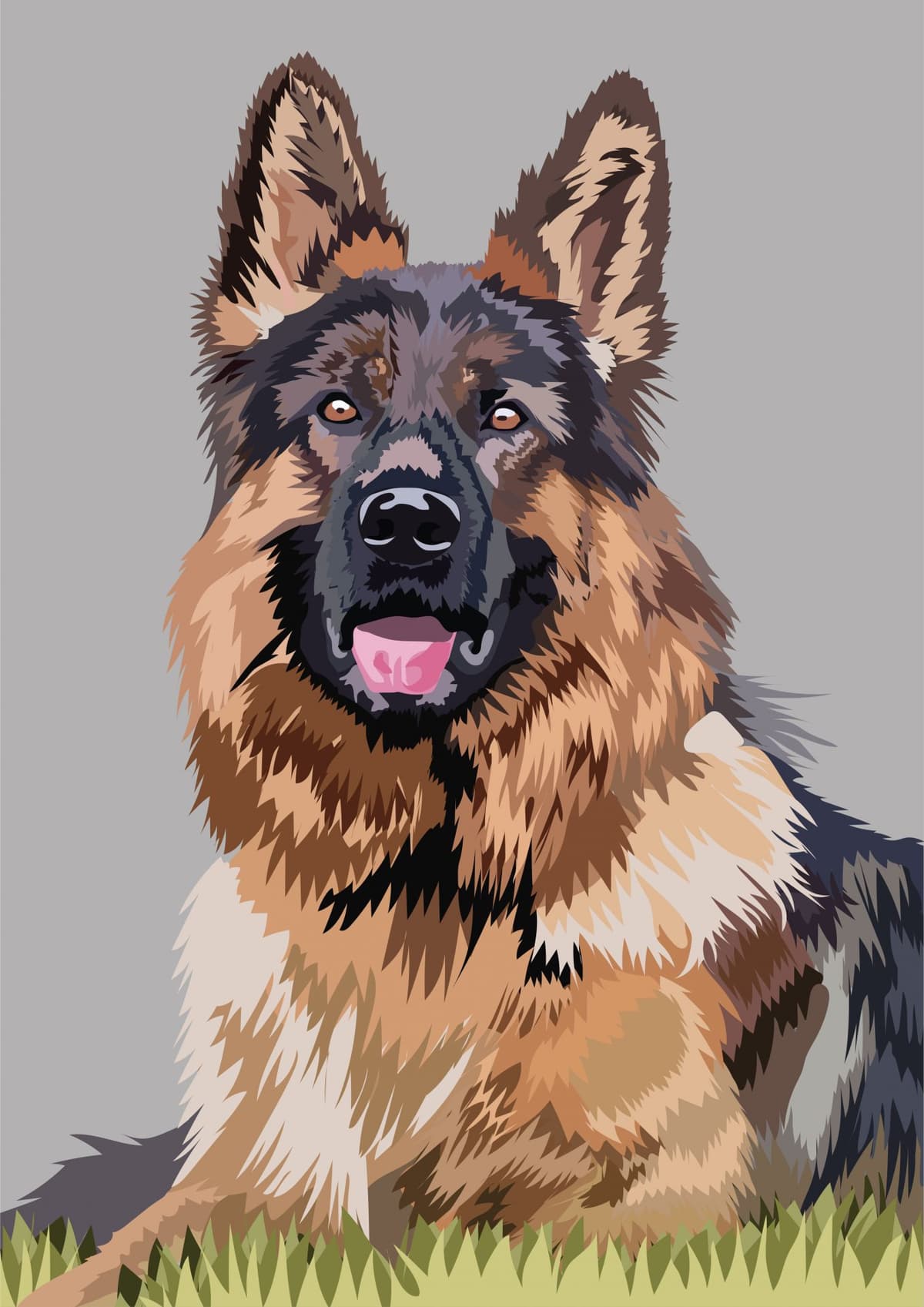 Portfolio 6