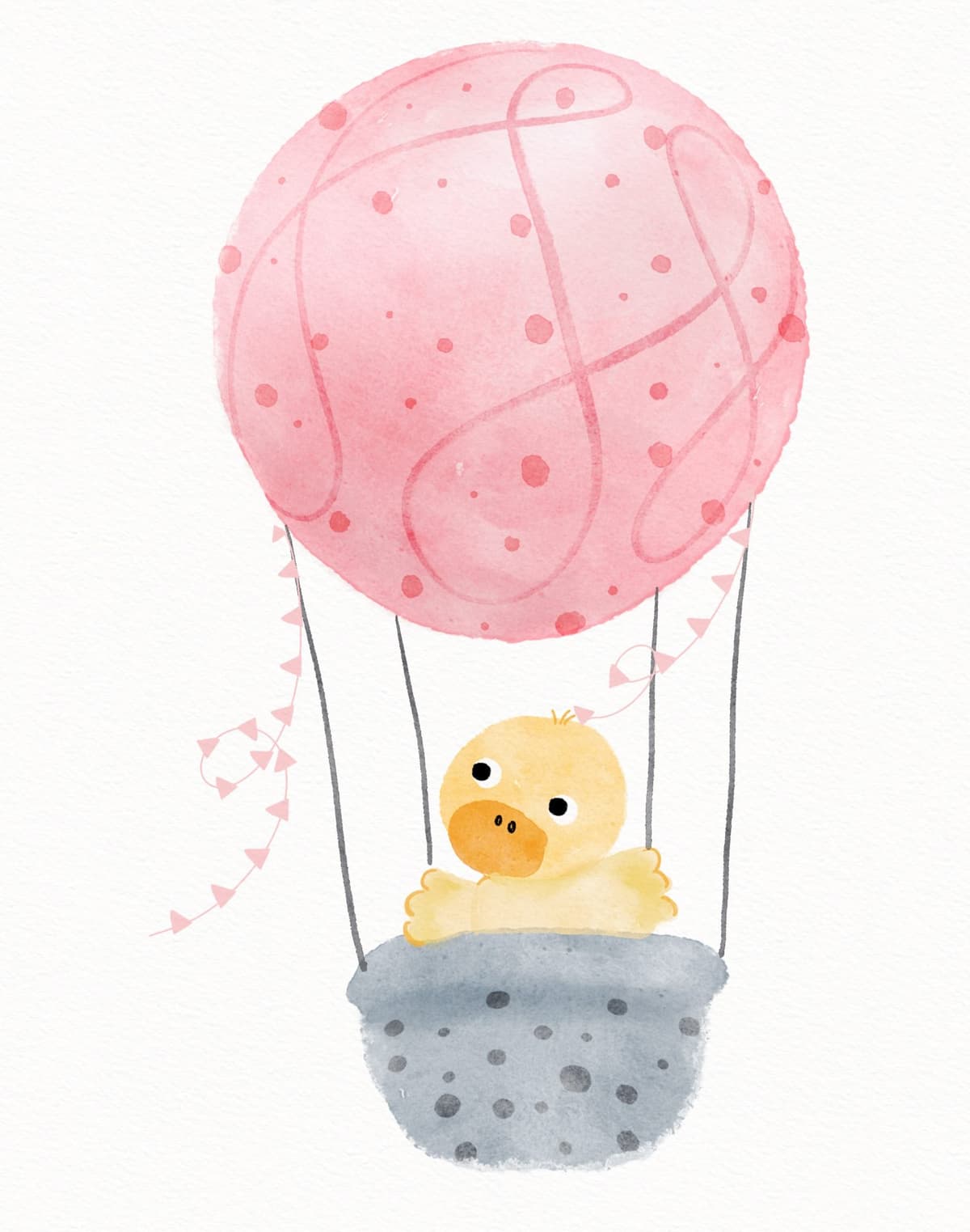 Portfolio 8
