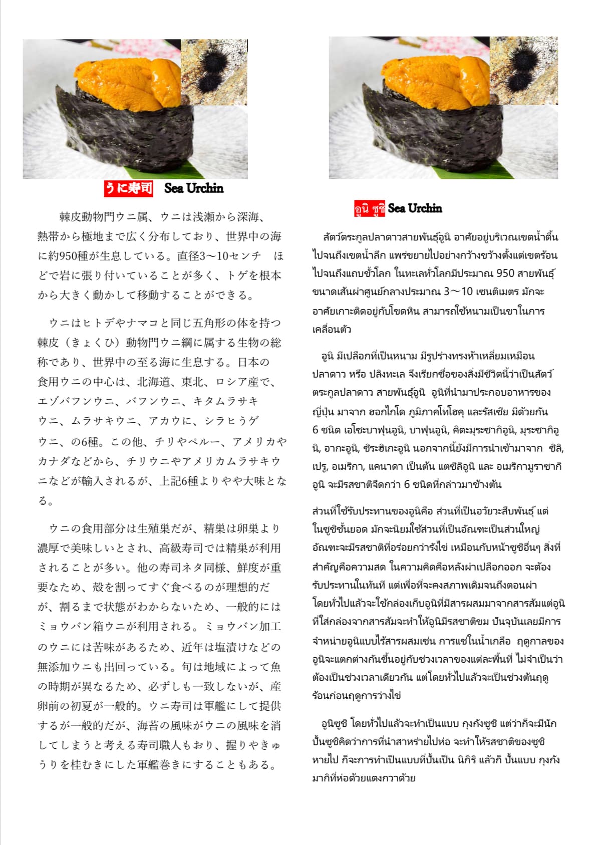 Portfolio 6