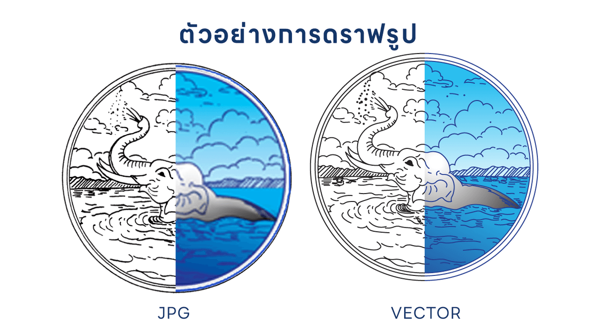 Portfolio 5