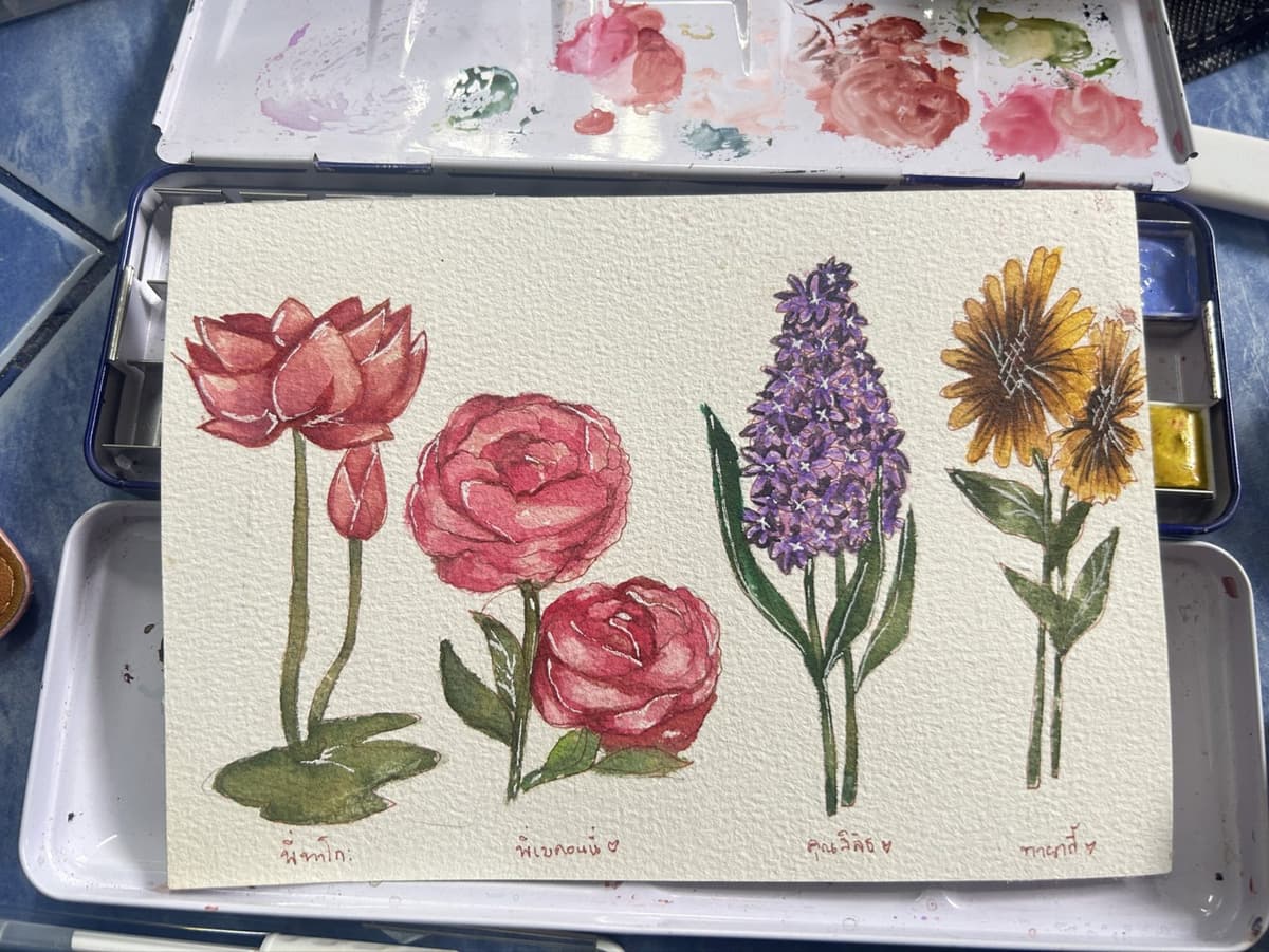 Portfolio 12