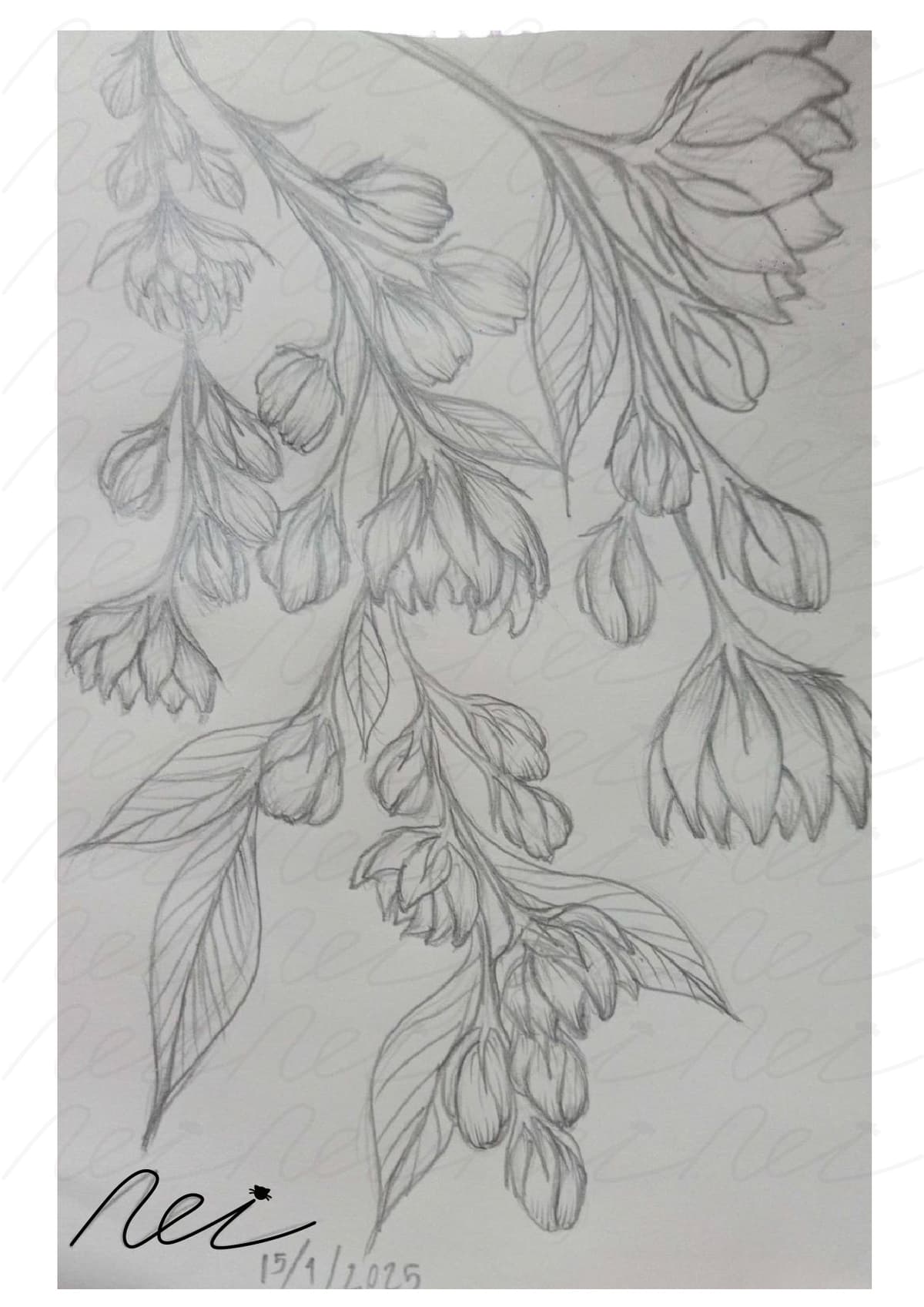 Portfolio 3