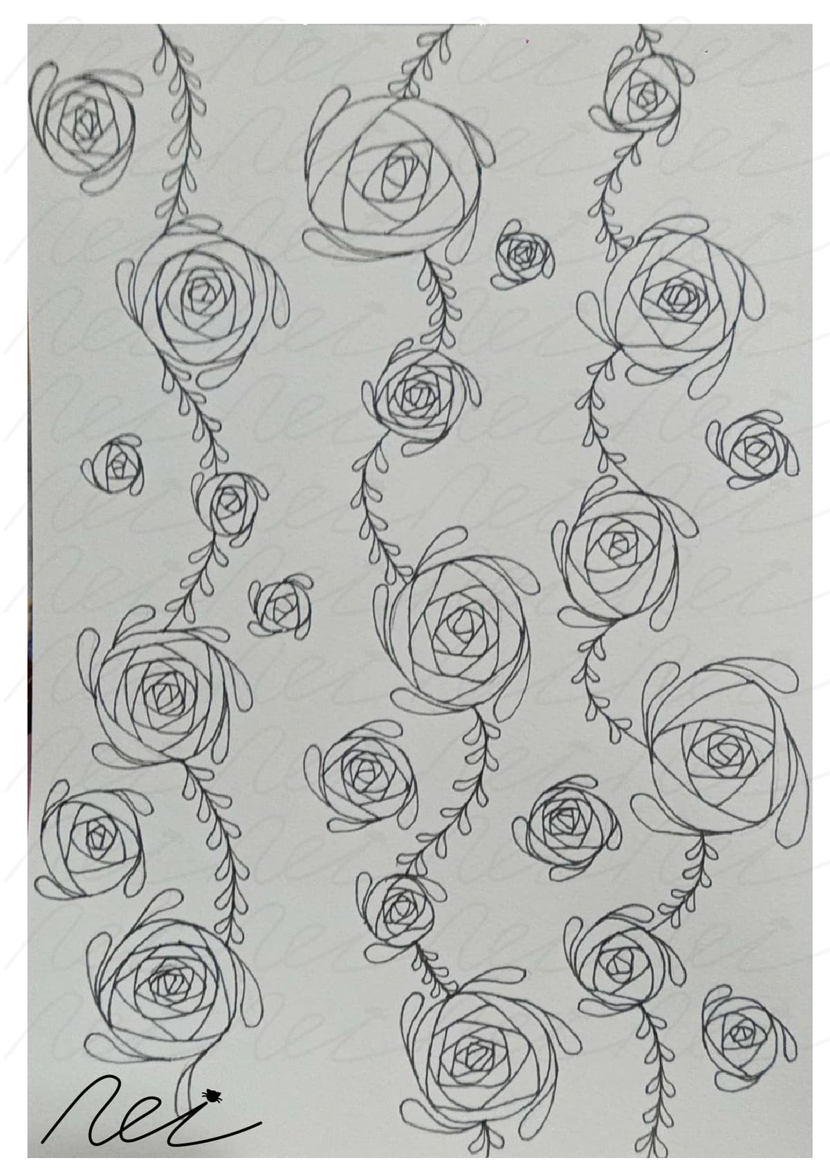 illustrator